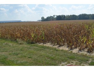 Property photo 59 - REAL ESTATE AUCTION - 604+/- ACRES IN 14 TRACTS IN MERCER CO., OHIO
